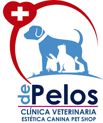 Clínica Veterinaria D' PELOS PET SHOP