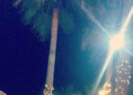 De vermiste naima jillal zou meerdere nauwe contacten hebben in de onderwereld. Verdachten In Vermissingszaak Naima Jillal In Bewaring Gesteld Rechtennieuws Nl