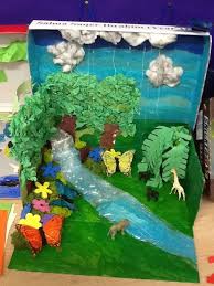 Biome In A Box Creating Trees For A Rainforest Biome Box Google Search Rainforest Crafts Diorama Kids Rainforest Biome