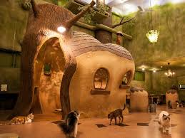 Filter and search through restaurants with gift card offerings. Best Animal And Pet Cafes In Tokyo Cafe Japan Tokyo Travel Japan Vacation