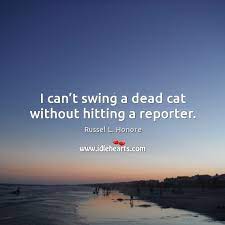 I Can T Swing A Dead Cat Without Hitting A Reporter Idlehearts