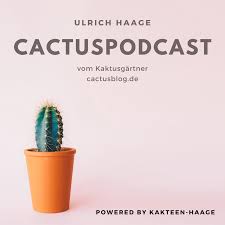 Do you know someone who has a cactus obsession? Willkommen Im Cactusblog Cactusblog