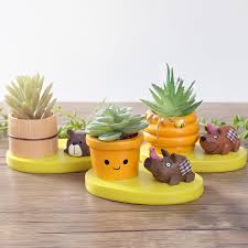 Daftar harga tanaman hias murah online terbaru july 2021 🌱🌱 pembayaran aman original cashback beli tanaman hias terbaik di tokopedia Roogo Pot Kaktus Mini Sukulen Pot Resin Lucu Unik Dengan Patung Hewan Barang Hadiah Kecil Buy Hewan Kecil Perkebunan Lucu Succulent Pot Item Hadiah Kecil Product On Alibaba Com