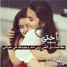 صور عن الاخ 2021 اجمل عبارات مكتوبة عن الاخ Girly Art Sister Love Sarra Art