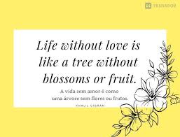 As 50 Frases De Amor Mais Bonitas Em Ingles Com Traducao Frases De Amor Amor Frases