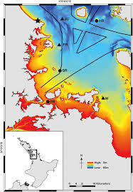 Map Of The Hauraki Gulf New Zealand Showing The Six