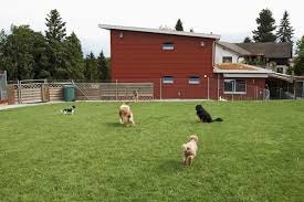 Tierheim Linth Tierheim Linth