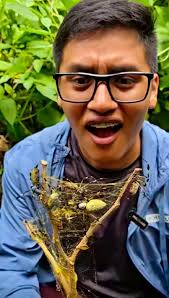 Canal 46 News Nuestro Canal...