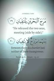 Ar Rahman Islamic Quotes Quran Quran Verses