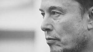 Grokipedia: ¿La Wikipedia de Elon Musk Dice la Verdad?