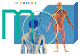 The cause of prostate cancer is not known and there is no single, simple test to detect prostate cancer. New Study Offers Support For Prostate Testing The New York Times