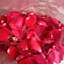 Cari produk tanaman artifical lainnya di tokopedia. Kelopak Bunga Mawar Merah Asli Fresh Shopee Indonesia