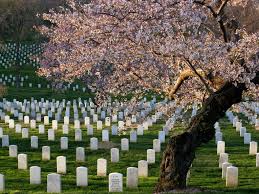 Arlington National Cemetery Va Arlington National Cemetery National Cemetery Beautiful Places To Visit