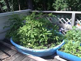 Can you plant a garden in a kiddie pool. Uses For Wading Pools Thriftyfun