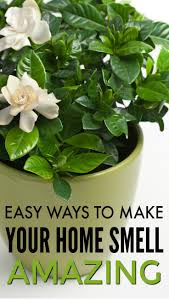 How to make the bathroom smell good How To Make Your House Smell Good