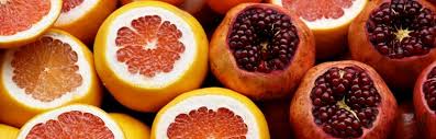 Try 'washington' naval orange (citrus sinensis. Winter Fruits 8 Delicious Garden Additions For The Cold Months Insteading