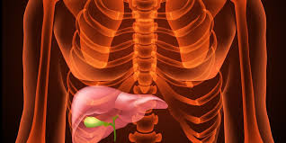 There for 2 days now. What You Need To Know About Your Gallbladder Men S Health