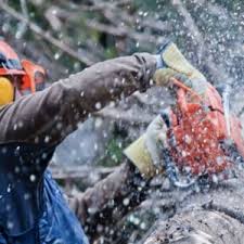 The work tree surgeons do often overlaps with general gardening work and it's not unusual for them to spend most of their time trimming hedges, planting trees or doing. Tree Trimming Cost Calculator 2021 Estimate Prices Services
