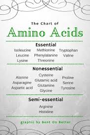 The Chart Of Amino Acids Essential Nonessential And Semi