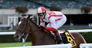 brown takes penultimate step with breeders cup contingent