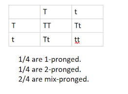 Si Questions Unit 4 Flashcards Quizlet