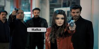 Synopsis lion family is a family consisting of seven family members. 43 Latest Best Turkish Tv Series Binge Watch In 2021 Digitalcruch