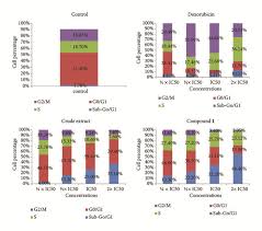 Image result for Ptycholobium contortum