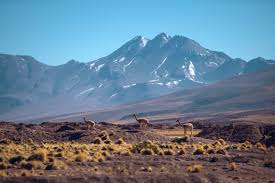 Gurun ini memiliki luas mencapai 1.000 km persegi yang letaknya di pesisir barat amerika selatan dan masuk dalam wilayah negara chili, bolivia, argentina dan peru. The Lunar Landscapes Of Chile S Atacama Desert Wilder Magazine