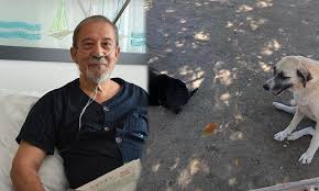 Denizde Bogulan Adami Kopekler Kurtardi