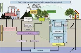 The levels of heavy metals in ground water vary from region to region. Metal Organic Frameworks For Heavy Metal Removal From Water Sciencedirect