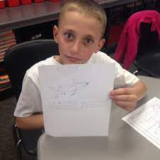 Add the two symmetrical sides of the face. Miss Beachy On Twitter Started Our Dangerous Animals Research Unit Today Of Course You Have To Learn How To Draw Your Animal Too