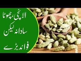 Sabz Elaichi Ky Fayde Benefits Of Sabz Elaichi Cardamom Ø³Ø¨Ø² Ø§ÙØ§Ø¦ÚÛ Ú©Û ÙØ§Ø¦Ø¯Û Youtube Subah khali pait ek sabz elaichi khane se jar se khatam ho jayen gi yeh 5 bemariyan #healthcaretips more videos. youtube