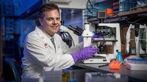 All entries will be judged on originality, rigor of argument, grammar, as well as idiomatic expression. Vanderbilt Vaccine Pioneer James Crowe Honored With Major Science Prize Vumc Reporter Vanderbilt University