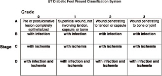 Image result for IDSA Diabetic Foot Wound Classification