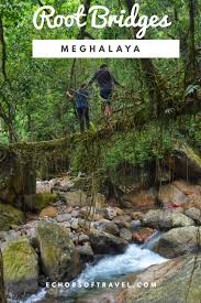 A Complete Guide On Living Root Bridges Of Meghalaya Northeastindia Meghalaya Rootbridges India Offbeat Offbeati Natural Bridge Meghalaya Northeast India