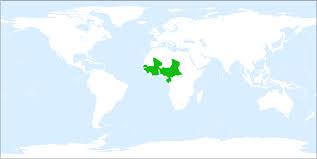 Image result for Platycoryne