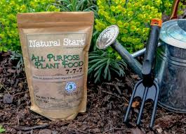 Calcium is an essential plant nutrient. How And When To Fertilize Houseplants Hgtv