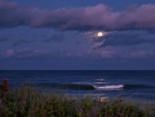 Last night's Full Blue Mini Moon 5/30/26 That will be the last "monthly" Blue  Moon for another 2.5 years! This phenomena happens when a second full moon  occurs in the same month;