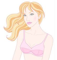 Bra Cartoon Vector Images Over 1 300 Enjoy fast delivery, best quality and cheap price. vectorstock