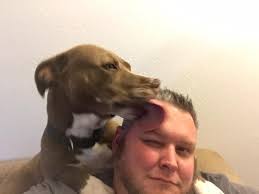 Lost black dog with squarish face?