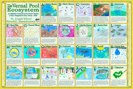 Poster Outreach Project Outreach Projects Ecosystems Vernal Pool