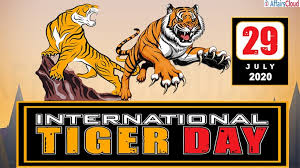 Due to poaching and destruction of forests in various countries, the number of tigers has dropped significantly. International Tiger Day 2020 July 29