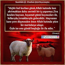 Kurban Bayrami 2020 Inanc Sozleri Inanc Dualar