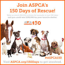 Aspca 150th Anniversary 150 Days Of Rescue Aspca Animals Furry Friend