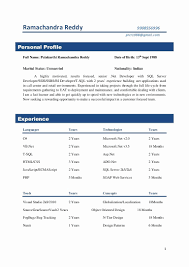 resume format 5 years experience