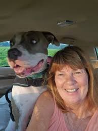 Stud services for pocket females in nc