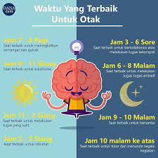 Waktu Terbaik Untuk Otak Pendidikan Kesehatan Pendidikan Kesehatan Alternatif