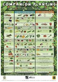 Vegetable Garden Fertilizer Chart Garden Inspiration