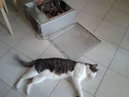 Come abbiamo visto, la scelta dell'alimentatore è molto importante per avere un sistema stabile e sicuro. Testare Un Alimentatore Per Pc Vuoto Inquieto