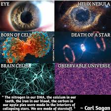 Cosmos Cool Science Facts Astronomy Facts Theories About The Universe